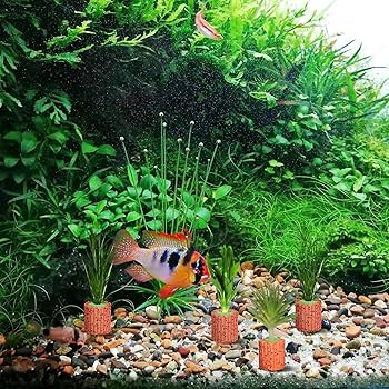 Amazon.co.jp: iplusmile 10個セット 水生植物固定リング 水槽